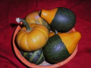 calabazicas del 
